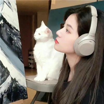 回旋镖
