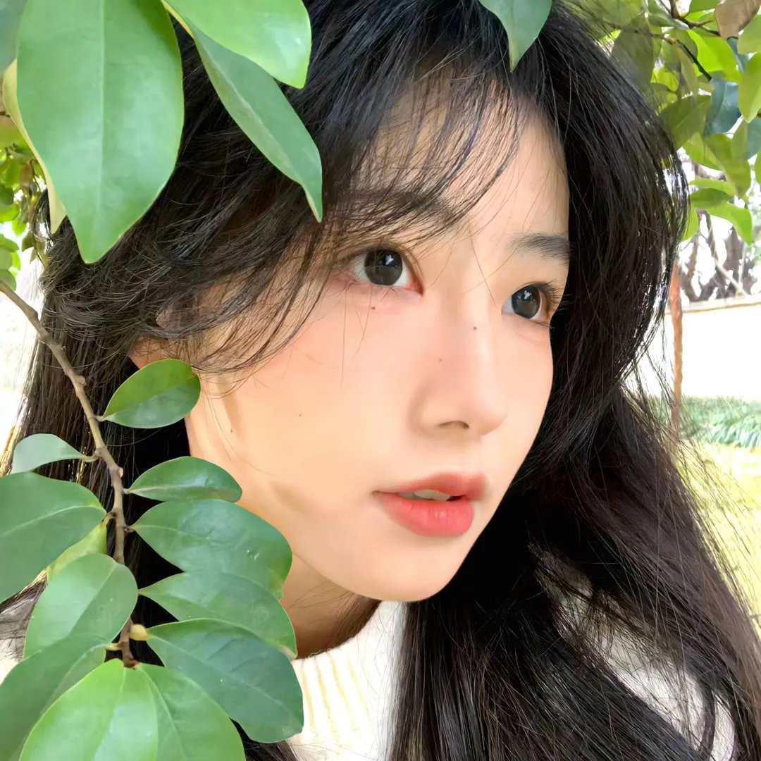 网红喵星人
